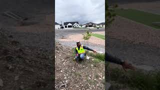 Back Yard with Landscaper